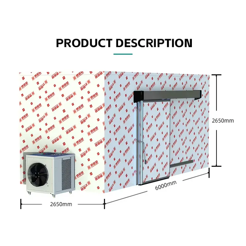 Professionele commerciële voed - Home Kitchen & Bathroom recensie en prijs